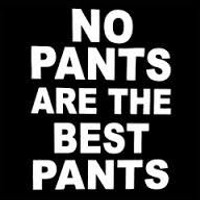 no pants are the best pants die cut decal