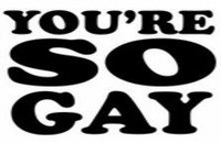 Your So Gay Decal