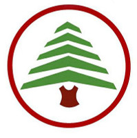 Berlin airline tree logo sticker