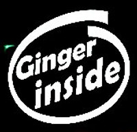 ginger inside funny car truck sticker 2