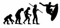 Evolution Sport Stickers SURFER