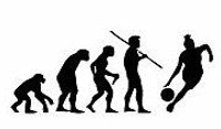 Evolution Sport Stickers WOMANS BASKETBALL Evolution Sport Stickers WOMANS BASKETBALL