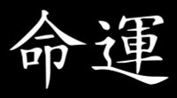 Japanese Letters Vinyl International Decal DESTINY