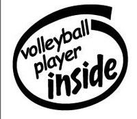 Volleyball Player Inside Diecut Vinyl Decal Volleyball Player Inside Diecut Vinyl Decal