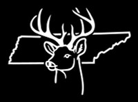 Tennessee ANY STATE OUTLINE Deer Hunting Sticker