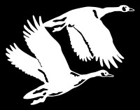 goose hunting decal