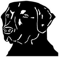 Lab Head 2 Vinyl Decal 1624
