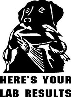 Lab Results Vinyl Hunting Car Decal
