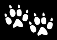 Fox Paw Prints Vinyl Hunting Decal