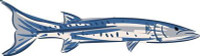 barracuda color fish sticker