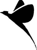 Bird Birds animal Car or Wall Vinyl Decal Sticker 11