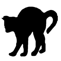 Black Cat vinyl decal 01j