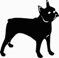 Boston Terrier Dog Decal 15d