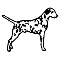 Dalmation Decal