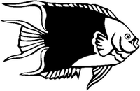 Fish Decals 06
