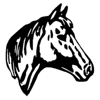 Horse Head auto graphic 926c