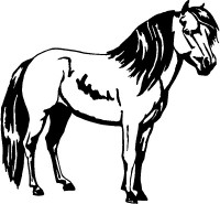 Horses Horse Animal Vinyl Car or WALL Decal Stickers 14