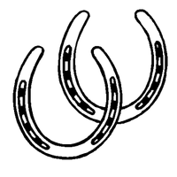 Horseshoe decal 159a