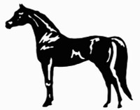 Vinyl Horse Stickers Wall Decals 03