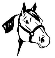Vinyl Horse Stickers Wall Decals 09