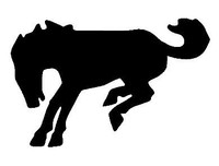 Vinyl Horse Stickers Wall Decals 19