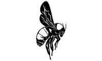 Bee Decal 101