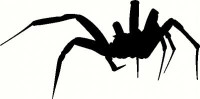 Creepy Spider Decal