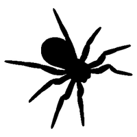 Tarantula Decal