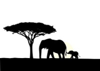 African Animal Decal 08