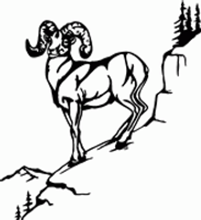 Ram Animal Decals 14