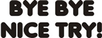 byebye funny auto decal