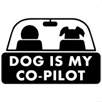 dog is my co-pilot diecut decal