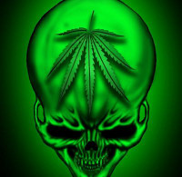 weed skull sticker