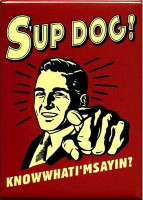 Know What Im Sayin Decal Sticker