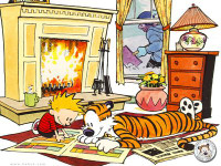 Calvin and Hobbes Rectangular Color Stickers 19