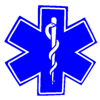 458 - star of Life vinyl sticker