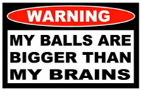 Balls Brains Funny Warning Sticker Set