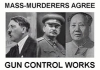 Gun Control Works