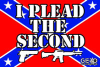 I PLEAD THE SECOND 2ND AMENDMENT DECAL - CONFEDERATE STICKER