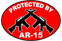 protected by ar 15 oval sticker