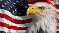 American Flag and bald eagle STICKER American Flag and bald eagle STICKER