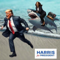 HARRIS 2024 POLITICAL STICKER SHARK HARRIS 2024 POLITICAL STICKER SHARK