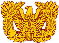 Warrant Officer Insignia Decal Warrant Officer Insignia Decal