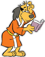 Hong Kong Phooey Color Decals 8