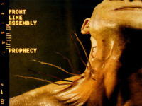 Front Line Assembly Color Band Sticker