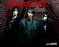 Nuerosonic Color Band Decal