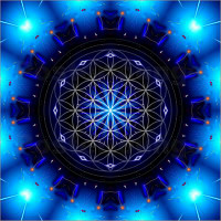 YOGA Flower of Life Color Sticker