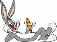 BUGS 01 BUGS 01
