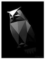 CYBERTRUCK order conformation OWL STICKER