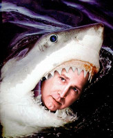 Chevy Chase SNL Land Shark Sticker